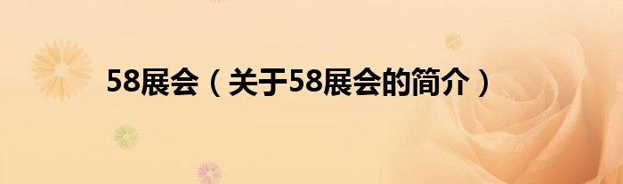 58展會(huì)（關(guān)于58展會(huì)的簡介）
