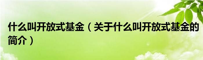 什么叫開(kāi)放式基金（關(guān)于什么叫開(kāi)放式基金的簡(jiǎn)介）