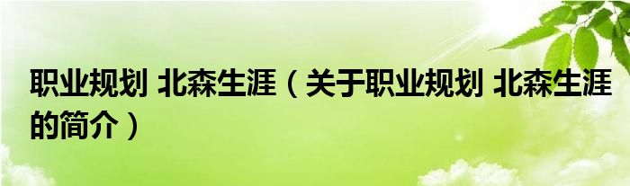 職業(yè)規(guī)劃 北森生涯（關(guān)于職業(yè)規(guī)劃 北森生涯的簡(jiǎn)介）