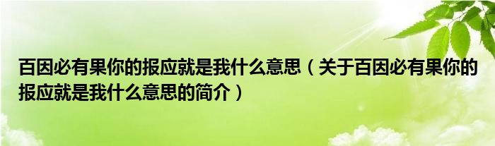 百因必有果你的報應(yīng)就是我什么意思（關(guān)于百因必有果你的報應(yīng)就是我什么意思的簡介）