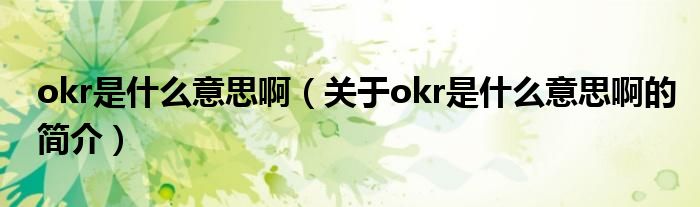 okr是什么意思?。P(guān)于okr是什么意思啊的簡(jiǎn)介）