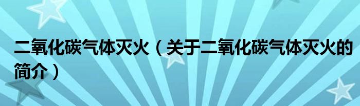 二氧化碳?xì)怏w滅火（關(guān)于二氧化碳?xì)怏w滅火的簡介）