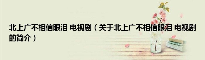 北上廣不相信眼淚 電視?。P(guān)于北上廣不相信眼淚 電視劇的簡(jiǎn)介）