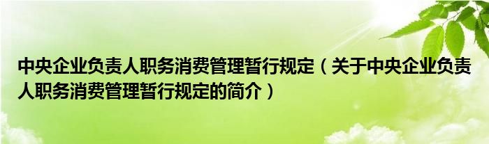 中央企業(yè)負(fù)責(zé)人職務(wù)消費(fèi)管理暫行規(guī)定（關(guān)于中央企業(yè)負(fù)責(zé)人職務(wù)消費(fèi)管理暫行規(guī)定的簡(jiǎn)介）