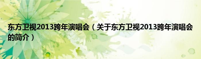 東方衛(wèi)視2013跨年演唱會（關(guān)于東方衛(wèi)視2013跨年演唱會的簡介）