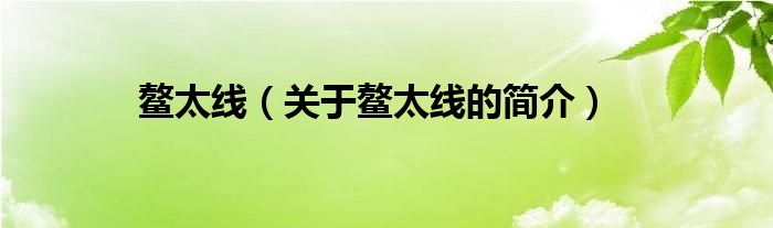 鰲太線（關(guān)于鰲太線的簡(jiǎn)介）