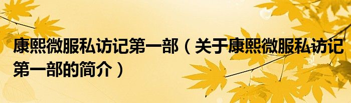 康熙微服私訪記第一部（關(guān)于康熙微服私訪記第一部的簡介）