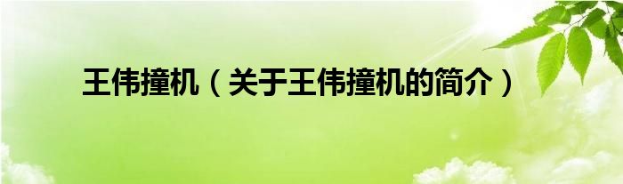 王偉撞機(jī)（關(guān)于王偉撞機(jī)的簡(jiǎn)介）