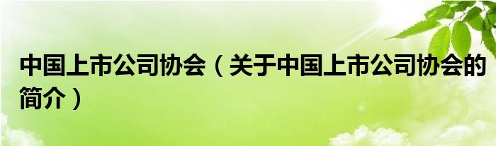 中國上市公司協(xié)會（關(guān)于中國上市公司協(xié)會的簡介）