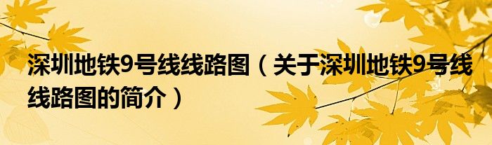 深圳地鐵9號線線路圖（關(guān)于深圳地鐵9號線線路圖的簡介）