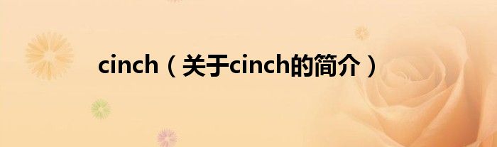 cinch（關于cinch的簡介）