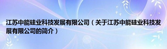 江蘇中能硅業(yè)科技發(fā)展有限公司（關(guān)于江蘇中能硅業(yè)科技發(fā)展有限公司的簡(jiǎn)介）