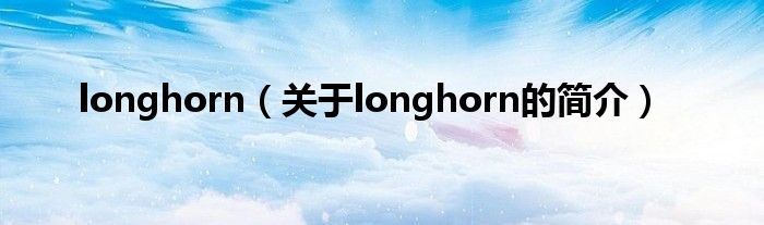 longhorn（關于longhorn的簡介）