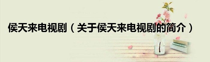 侯天來電視?。P(guān)于侯天來電視劇的簡(jiǎn)介）