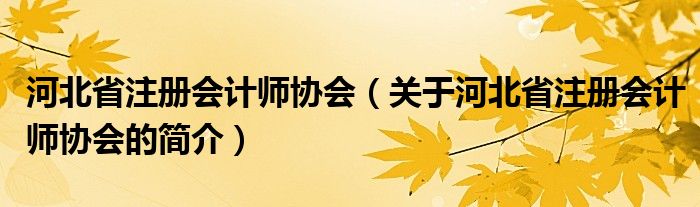 河北省注冊會計(jì)師協(xié)會（關(guān)于河北省注冊會計(jì)師協(xié)會的簡介）