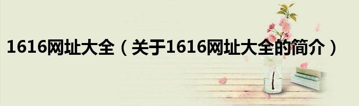 1616網(wǎng)址大全（關于1616網(wǎng)址大全的簡介）