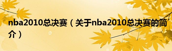 nba2010總決賽（關(guān)于nba2010總決賽的簡介）