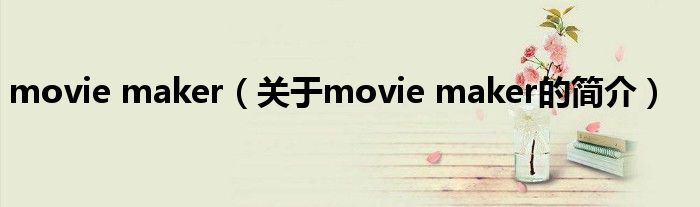 movie maker（關(guān)于movie maker的簡介）