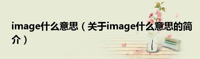 image什么意思（關于image什么意思的簡介）