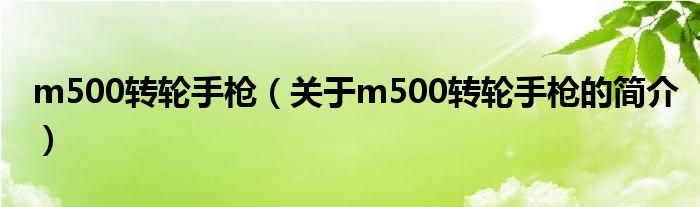 m500轉(zhuǎn)輪手槍（關(guān)于m500轉(zhuǎn)輪手槍的簡(jiǎn)介）