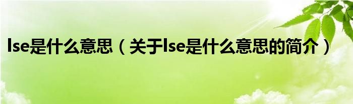 lse是什么意思（關(guān)于lse是什么意思的簡介）