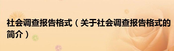 社會調查報告格式（關于社會調查報告格式的簡介）