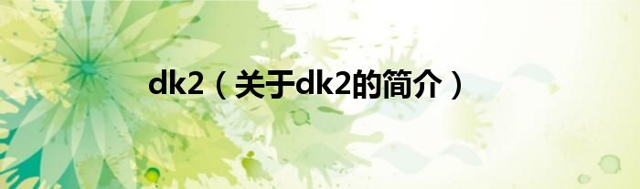 dk2（關于dk2的簡介）