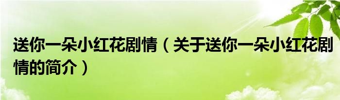 送你一朵小紅花劇情（關(guān)于送你一朵小紅花劇情的簡(jiǎn)介）