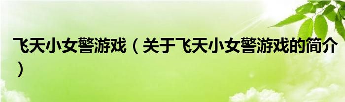 飛天小女警游戲（關于飛天小女警游戲的簡介）