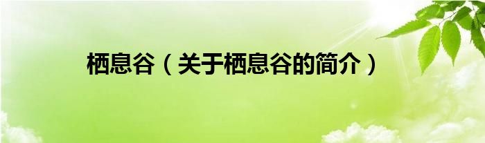 棲息谷（關(guān)于棲息谷的簡介）