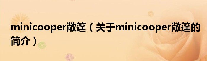 minicooper敞篷（關(guān)于minicooper敞篷的簡(jiǎn)介）