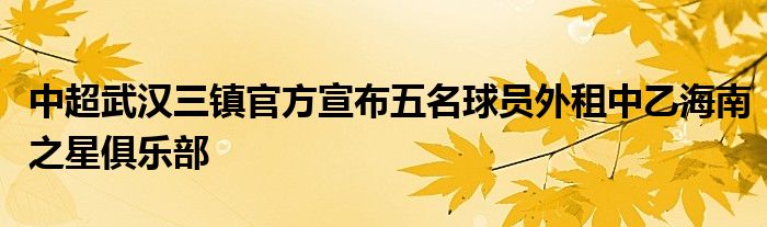 中超武漢三鎮(zhèn)官方宣布五名球員外租中乙海南之星俱樂(lè)部