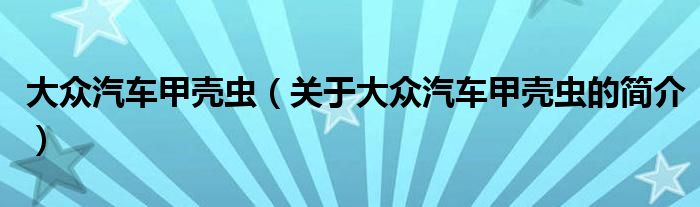 大眾汽車甲殼蟲(chóng)（關(guān)于大眾汽車甲殼蟲(chóng)的簡(jiǎn)介）