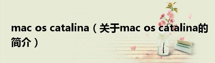 mac os catalina（關于mac os catalina的簡介）