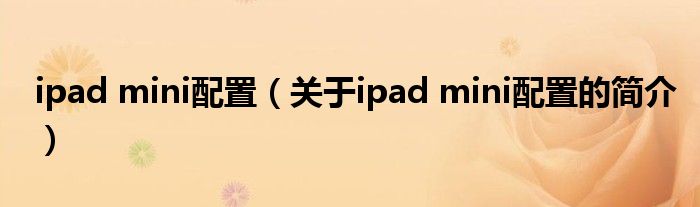 ipad mini配置（關(guān)于ipad mini配置的簡介）