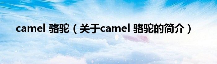 camel 駱駝（關(guān)于camel 駱駝的簡介）