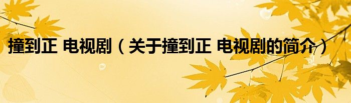 撞到正 電視?。P(guān)于撞到正 電視劇的簡介）