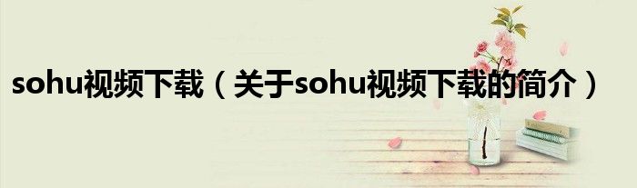 sohu視頻下載（關(guān)于sohu視頻下載的簡(jiǎn)介）