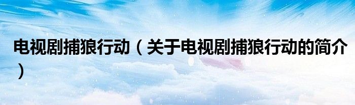 電視劇捕狼行動（關(guān)于電視劇捕狼行動的簡介）