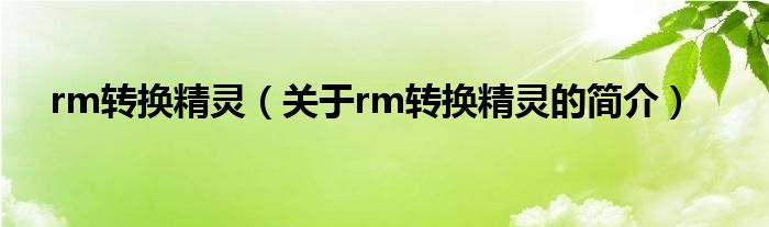 rm轉(zhuǎn)換精靈（關(guān)于rm轉(zhuǎn)換精靈的簡介）