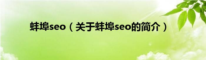 蚌埠seo（關(guān)于蚌埠seo的簡介）