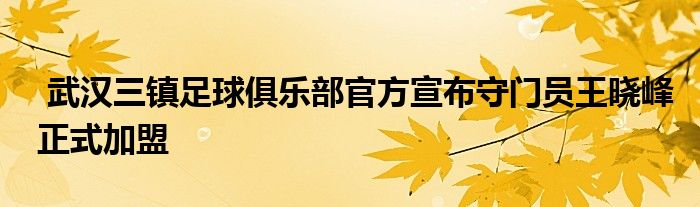  武漢三鎮(zhèn)足球俱樂部官方宣布守門員王曉峰正式加盟