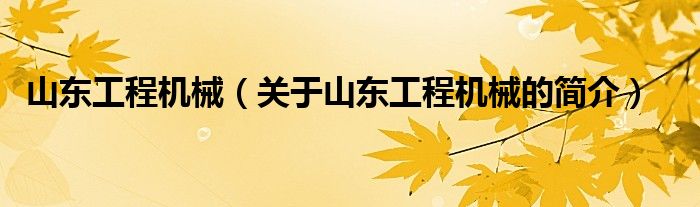 山東工程機械（關(guān)于山東工程機械的簡介）