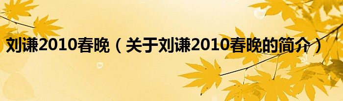 劉謙2010春晚（關(guān)于劉謙2010春晚的簡(jiǎn)介）