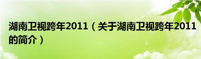 湖南衛(wèi)視跨年2011（關(guān)于湖南衛(wèi)視跨年2011的簡介）