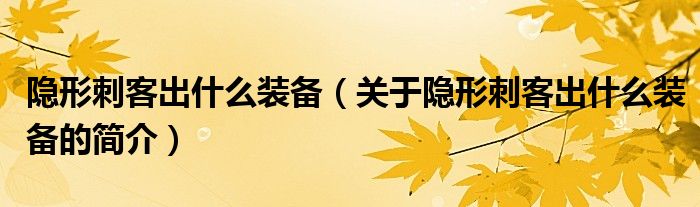 隱形刺客出什么裝備（關(guān)于隱形刺客出什么裝備的簡介）