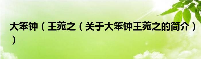 大笨鐘（王菀之（關(guān)于大笨鐘王菀之的簡(jiǎn)介））