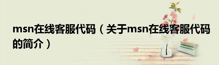 msn在線客服代碼（關(guān)于msn在線客服代碼的簡(jiǎn)介）