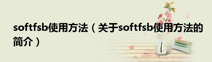 softfsb使用方法（關(guān)于softfsb使用方法的簡介）