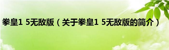 拳皇1 5無(wú)敵版（關(guān)于拳皇1 5無(wú)敵版的簡(jiǎn)介）